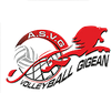 logo du club Association Sportive Volley Gigean