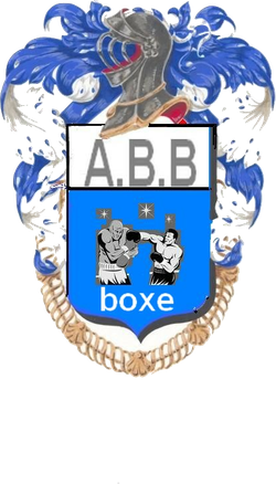 logo du club Académie-Bayard-Boxe