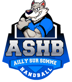 logo du club AILLY sur SOMME HANDBALL