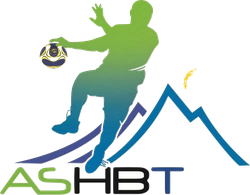 logo du club Association Sportive Hand Ball Tamponnais