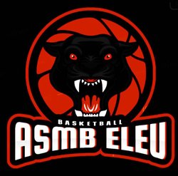 logo du club ASM Basket Eleu dit Leauwette