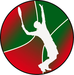 logo du club ASN TENNIS NUITS
