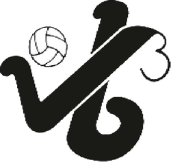 logo du club Bourg Volley