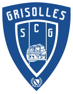 logo du club DRAGONS BOYS GRISOLLES
