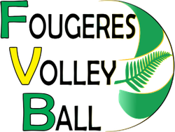 logo du club Fougères Volley Ball