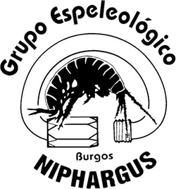 logo du club Grupo Espeleológico Niphargus