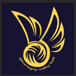 logo du club Giromagny volley ball