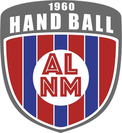 logo du club Amicale Laïque de Neuves Maisons section handball