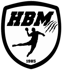 logo du club HandBall Mothais