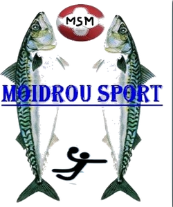 logo du club MOIDROU SPORT DE M'TSANGADOUA