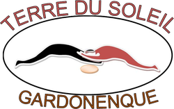 logo du club Rugby Club Brignon
