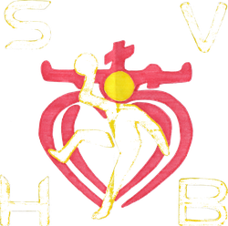 logo du club Sud Vendee Handball