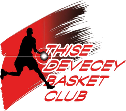 logo du club Thise Devecey Basket Club