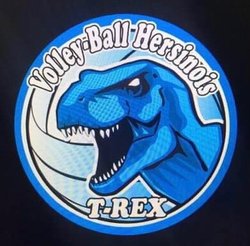 logo du club Volley-Ball Hersinois