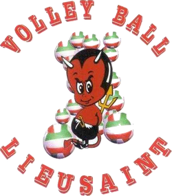logo du club VOLLEY-BALL LIEUSAINT