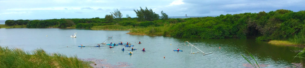 Kayak Club Saint Andréen : site officiel du club de canoë-kayak de ST ANDRE - clubeo