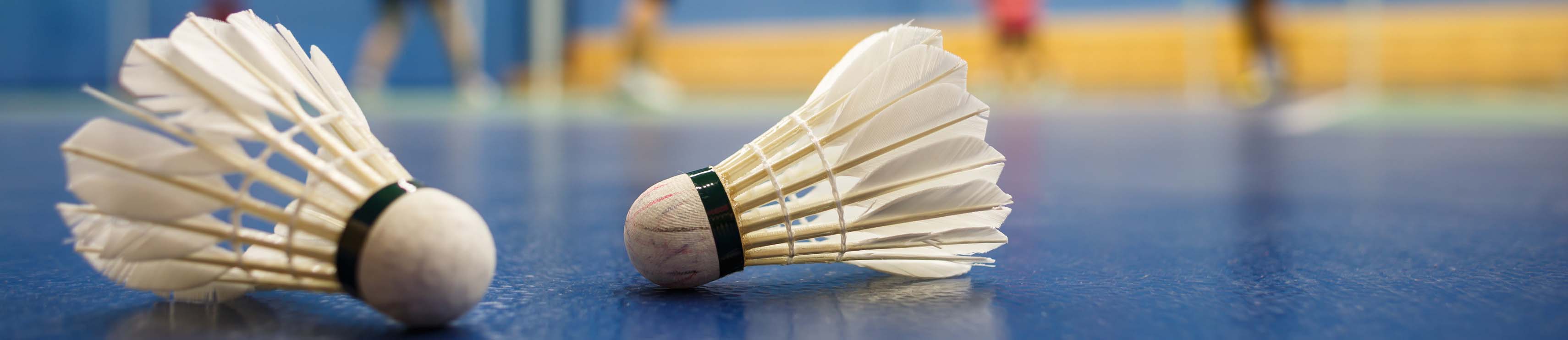 Dieppe Badminton Club : site officiel du club de badminton de LA CRIQUE - clubeo
