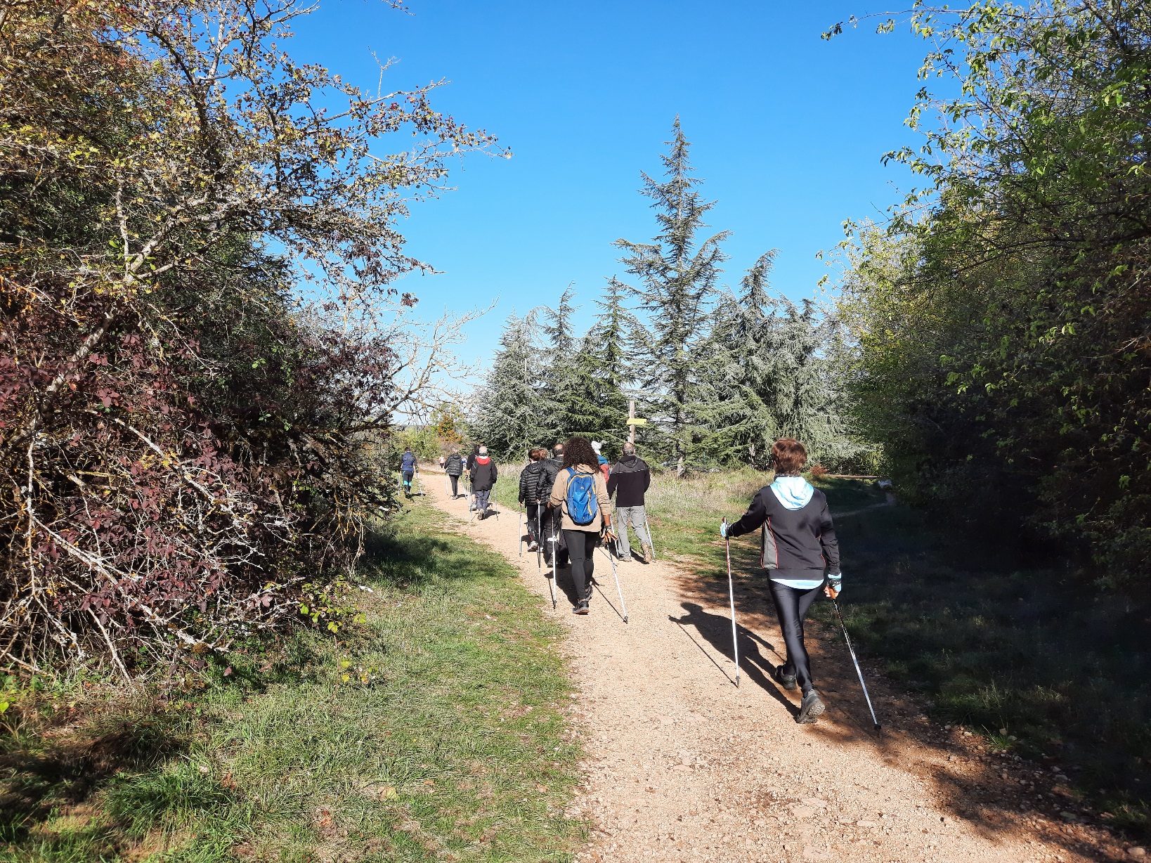 Débutants 4
