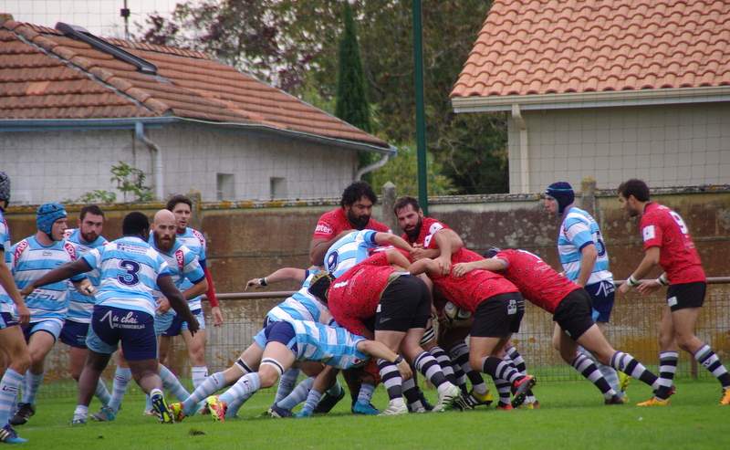 Rugby Finale