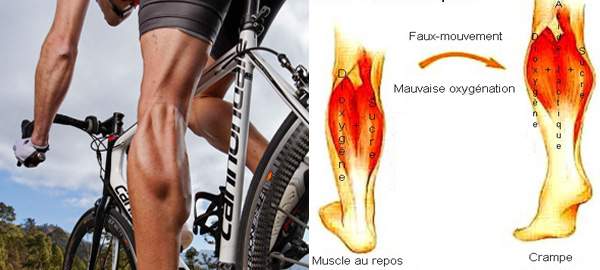 Actualité - Comment Soigner Les Crampes Musculaires - Club Cyclisme ...